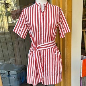 Everlane Oxford collarless Striped Dress